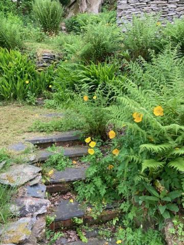 Charming Eglwysfach *