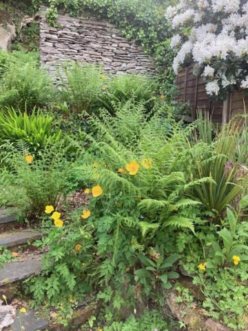 Holiday home Charming Eglwysfach *